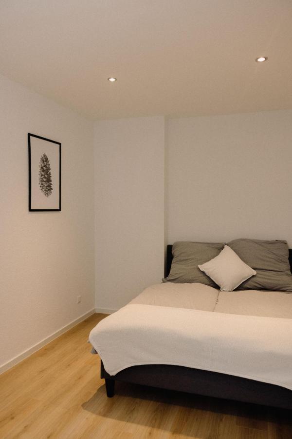 130M² Apartment Im Zentrum + Terrasse 莱比锡 外观 照片